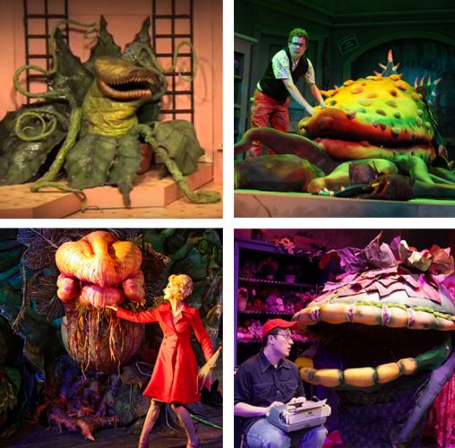 Audrey II: The Evolution of the Little Shop of Horrors Plant