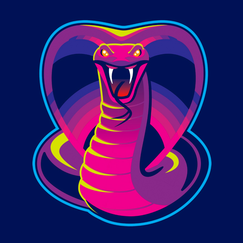 Artist Shop Spotlight: Signalnoise's Rad '80s Vibes