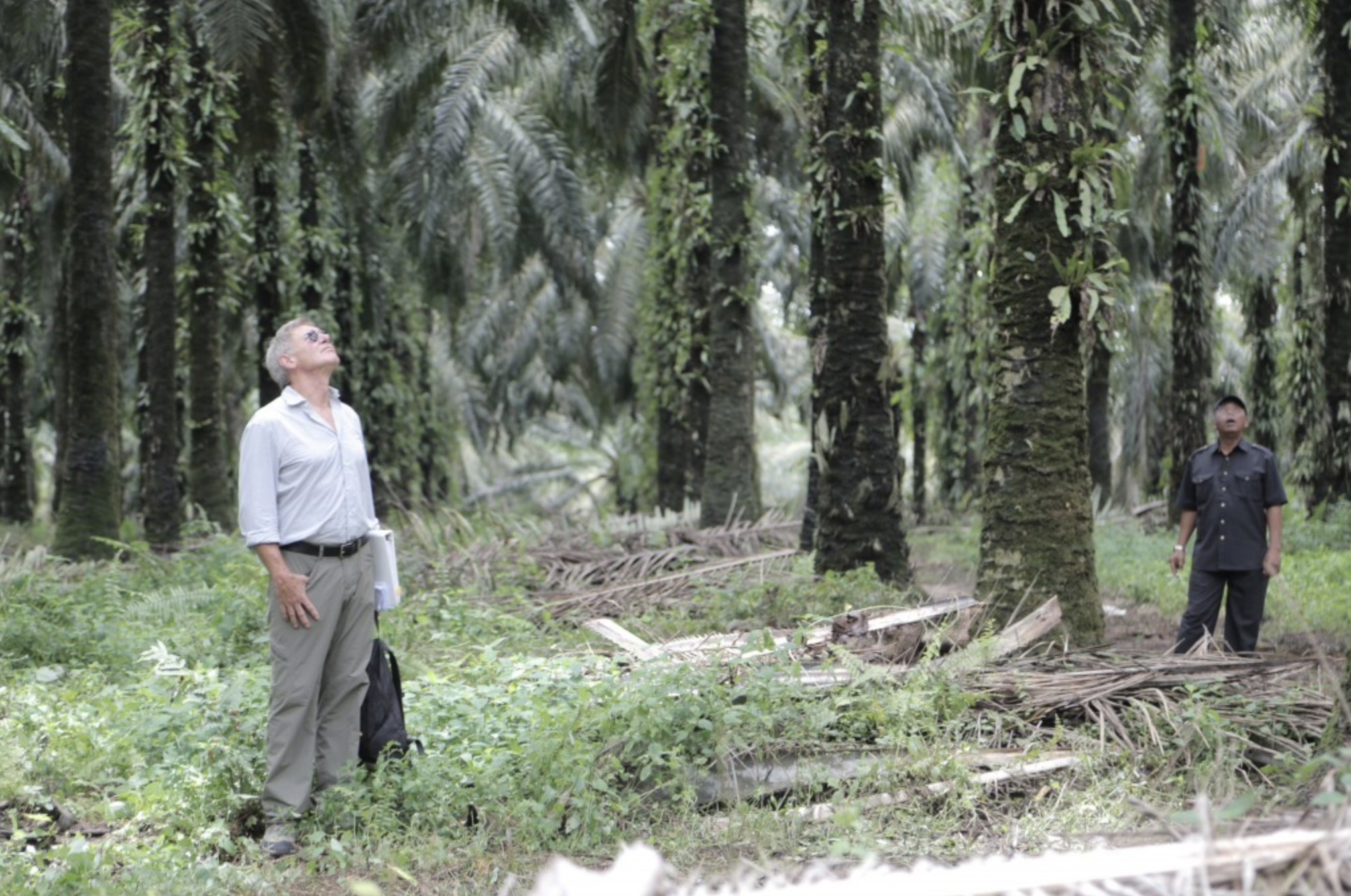 Years of Living Dangerously - Harrison Ford.