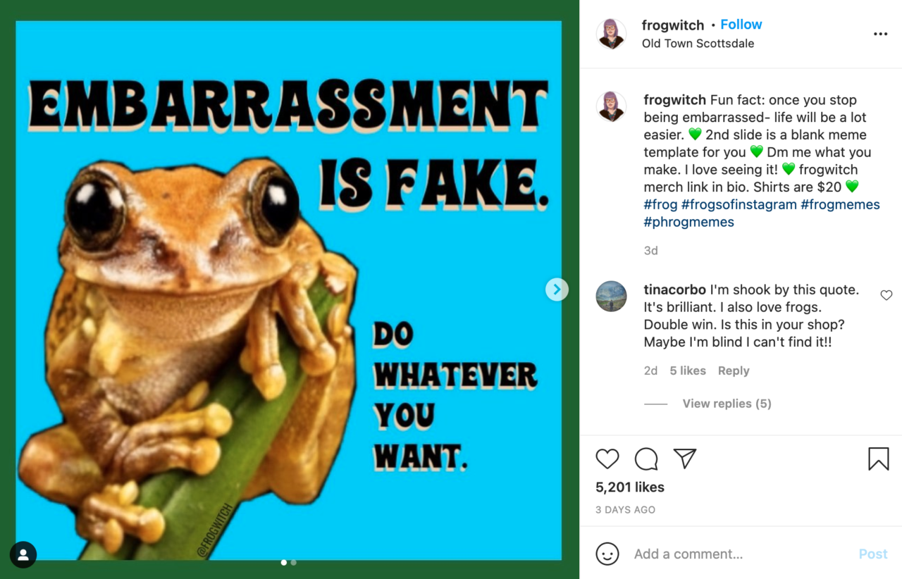 Frog Witch Instagram Post