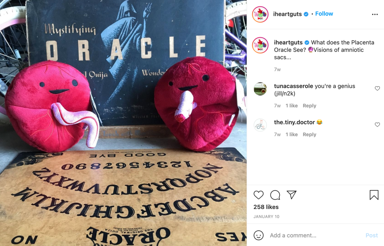 I Heart Guts Instagram Post